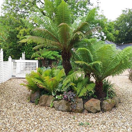 Pleasant Streams Barn Bed & Breakfast St Austell Exterior photo