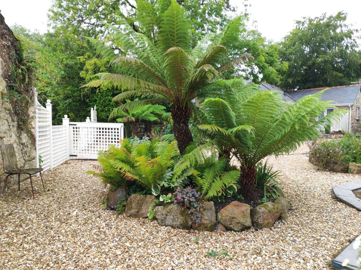 Pleasant Streams Barn Bed & Breakfast St Austell Exterior photo